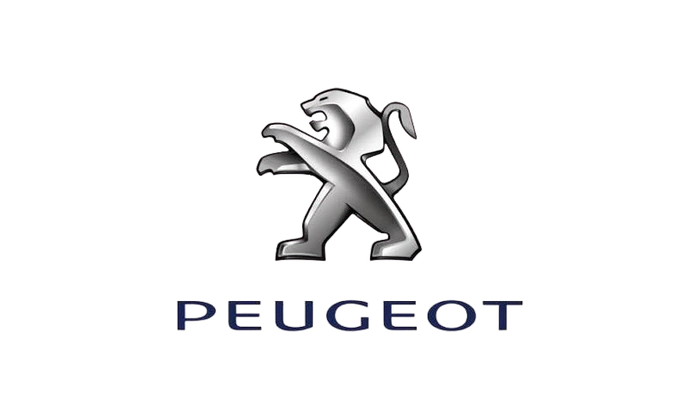 peugeot-206